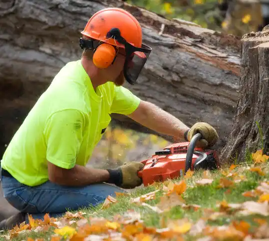 tree services Lawrence